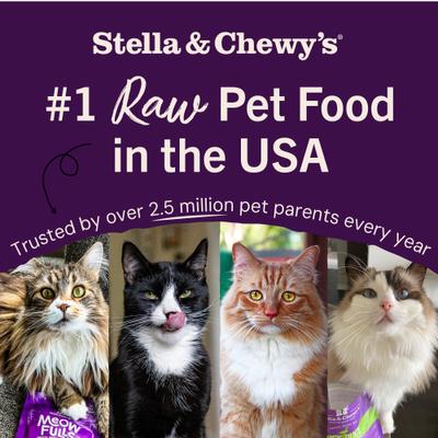 Show full view: Stella & Chewy's Dinner Morsels Plate Lickin' Pork Recipe Cat Dried Food, 3.5-oz bag slide 8 of 12