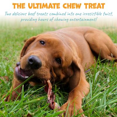 Show full view: Pack Approved Bull Beef Twist Natural Dog Chews, 9-in, 3 count slide 4 of 8