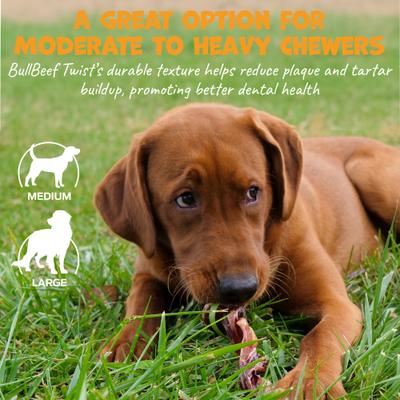 Show full view: Pack Approved Bull Beef Twist Natural Dog Chews, 9-in, 3 count slide 5 of 8