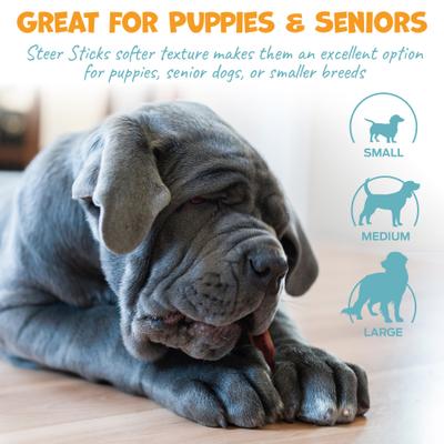 Show full view: Pack Approved Standard Beef Steer Sticks Natural Dog Chews, 11 to 12-in, 10 count slide 4 of 7