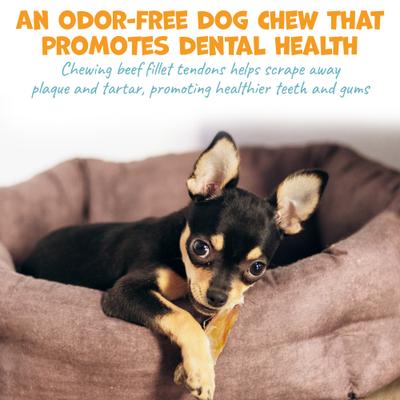 Show full view: Pack Approved Beef Fillet Tendon Natural Dog Chews, 4 to 6-in, 12 count slide 5 of 9