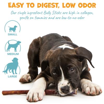 Show full view: Pack Approved Standard Beef Bully Sticks Natural Dog Chews, 12-in, 8 count slide 5 of 8