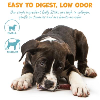 Show full view: Pack Approved Standard Beef Bully Sticks Natural Dog Chews, 6-in, 12 count slide 6 of 9