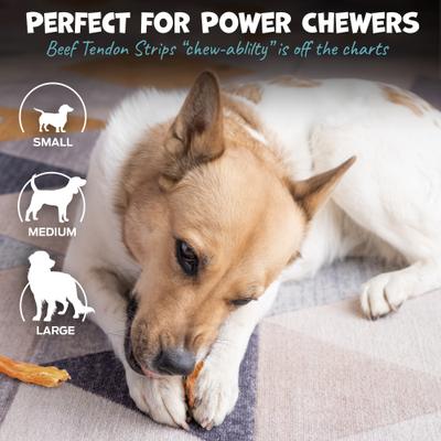 Show full view: Pack Approved Beef Tendon Strips Natural Dog Chews, 7 to 10-in, 12 count slide 5 of 8