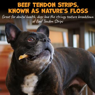 Show full view: Pack Approved Beef Tendon Strips Natural Dog Chews, 7 to 10-in, 12 count slide 4 of 8