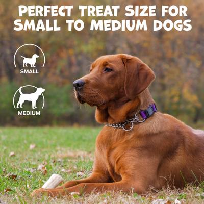 Show full view: Pack Approved Whole Deer Antler Natural Dog Chew, 4 to 5-in, 1 count slide 5 of 8