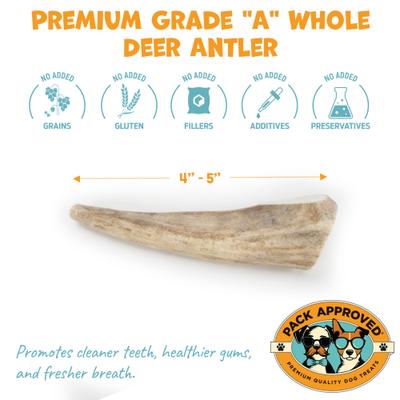 Show full view: Pack Approved Whole Deer Antler Natural Dog Chew, 4 to 5-in, 1 count slide 3 of 8