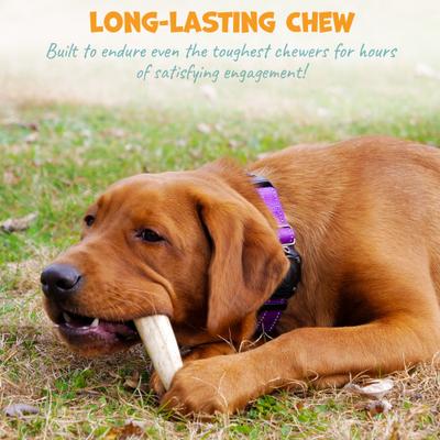 Show full view: Pack Approved Whole Deer Antlers Natural Dog Chews, 4 to 5-in, 3 count slide 4 of 8