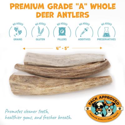 Show full view: Pack Approved Whole Deer Antlers Natural Dog Chews, 4 to 5-in, 3 count slide 3 of 8