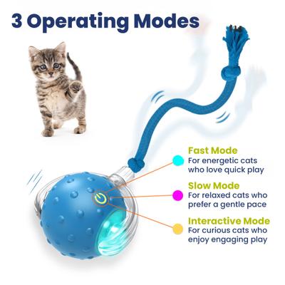 Show full view: PawsPik Chirp & Chase Motion Activated Cat Ball with LED Lights, Blue slide 6 of 9