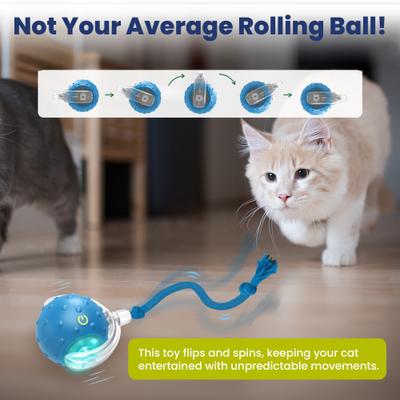 Show full view: PawsPik Chirp & Chase Motion Activated Cat Ball with LED Lights, Blue slide 3 of 9