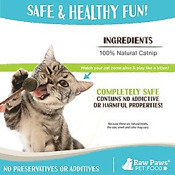 Raw Paws Catnip & Silvervine Lollipops Interactive Cat Toy, 6 count slide 2 of 7