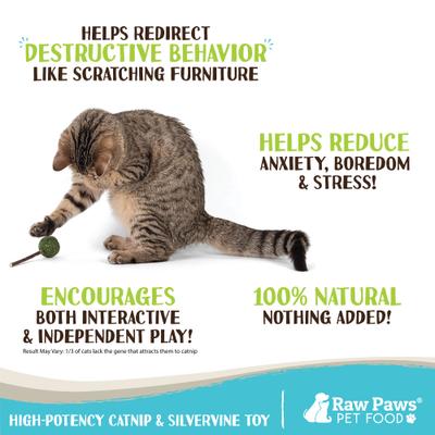 Show full view: Raw Paws Catnip & Silvervine Lollipops Interactive Cat Toy, 6 count slide 4 of 8