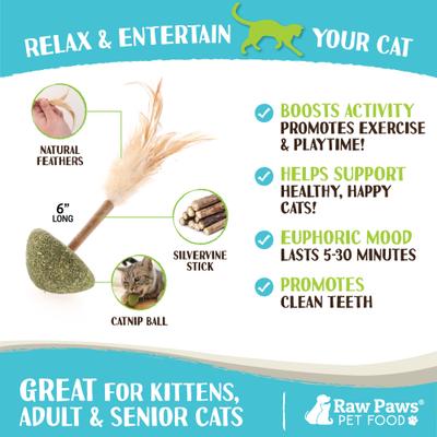 Show full view: Raw Paws Catnip & Silvervine Lollipops with Feather Interactive Cat Toy, 3 count slide 3 of 7