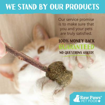 Show full view: Raw Paws Catnip & Silvervine Lollipops Interactive Cat Toy, 6 count slide 3 of 8