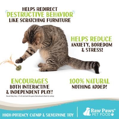 Show full view: Raw Paws Catnip & Silvervine Lollipops with Feather Interactive Cat Toy, 3 count slide 2 of 7