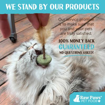 Show full view: Raw Paws Catnip & Silvervine Lollipops with Feather Interactive Cat Toy, 3 count slide 6 of 7