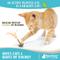 Show in main carousel: Raw Paws Catnip & Silvervine Lollipops with Feather Interactive Cat Toy, 3 count slide 5 of 7