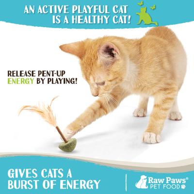 Show full view: Raw Paws Catnip & Silvervine Lollipops with Feather Interactive Cat Toy, 3 count slide 5 of 7
