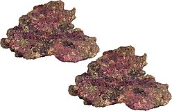 Ecoscape Reef Plate Mix Aquarium Rock, 8 count slide 2 of 5