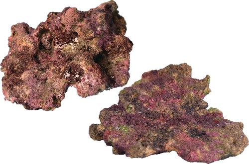 Show full view: Ecoscape Reef Plate Mix Aquarium Rock, 8 count slide 4 of 5