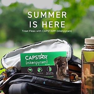 Capstar Flea Oral Treatment for Dogs, over 25 lbs, 6 Tablets