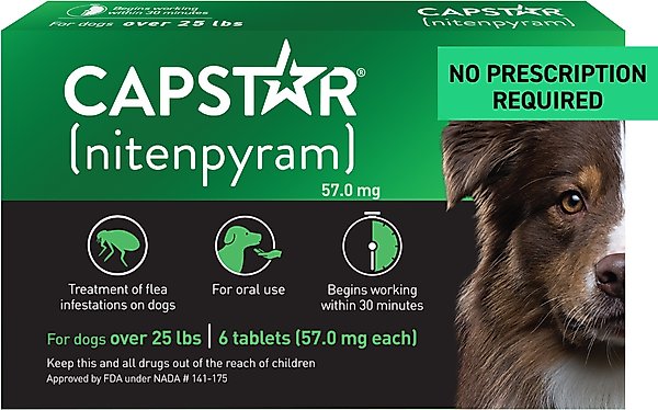 flea treatment pills for dogs