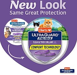 Hartz UltraGuard ProMax Flea & Tick Cat Collar, Purple, 2 count slide 2 of 8