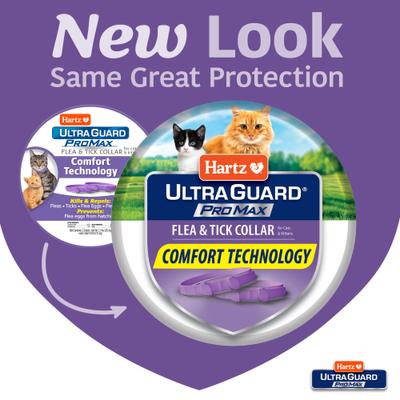 Show full view: Hartz UltraGuard ProMax Flea & Tick Cat Collar, Purple, 2 count slide 2 of 10