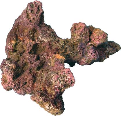 Show full view: Ecoscape Reef Branch Mix Aquarium Rock, 8 count slide 6 of 6