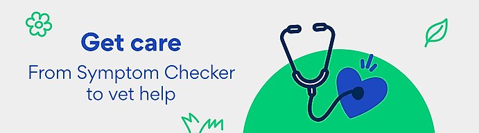 Get care: From Symptom Checker to vet help