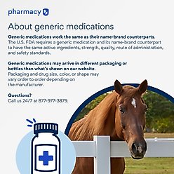 Phenylbutazone Bolus (Generic) Tablets for Horses, 1-g, 30 tablets slide 2 of 2