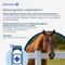 Show in main carousel: NexHA Hyaluronate Sodium (Generic) Injectable Solution for Horses, 10mg/mL, 4 mL vial slide 2 of 9