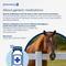 Show in main carousel: Phenylbutazone Bolus (Generic) Tablets for Horses, 1-g, 30 tablets slide 2 of 3