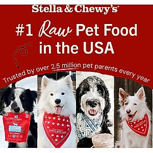 Stella & Chewy's Stella's Super Beef Meal Mixers Freeze-Dried Raw Dog Food Topper, 18-oz bag