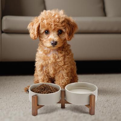 Show full view: SpunkyJunky Ceramic & Acacia Wood Raised Dog Bowls, 2 count, Gray, 1.7 cup slide 7 of 7