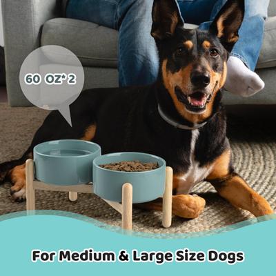 Show full view: SpunkyJunky Ceramic & Wood Raised Dog Bowls, 2 count, Dark Green, 7.6 cup slide 7 of 7