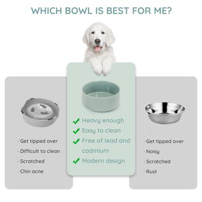 Show full view: SpunkyJunky Modern Cute Ceramic Weighted Dog Bowl, 1 count, Morandi Green, 7.6 cup slide 5 of 7