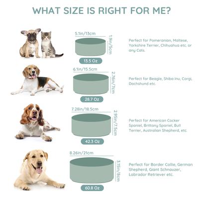 Show full view: SpunkyJunky Modern Cute Ceramic Weighted Dog Bowl, 1 count, Morandi Green, 7.6 cup slide 3 of 7