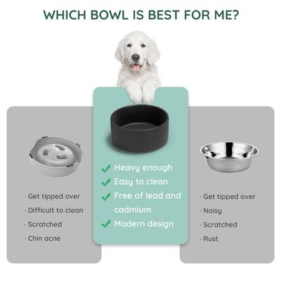 Show full view: SpunkyJunky Modern Cute Ceramic Weighted Dog Bowl, 1 count, Black, 1.7 cup slide 6 of 8