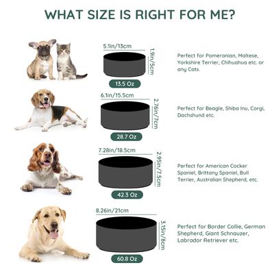 Show full view: SpunkyJunky Modern Cute Ceramic Weighted Dog Bowl, 1 count, Black, 1.7 cup slide 4 of 8