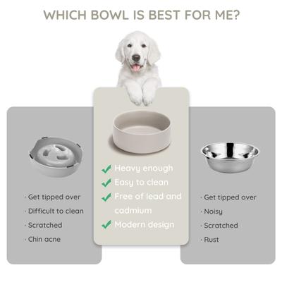 Show full view: SpunkyJunky Modern Cute Ceramic Weighted Dog Bowl, 1 count, Grey, 1.7 cup slide 5 of 7
