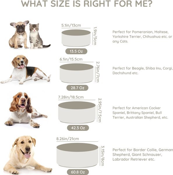 SpunkyJunky Modern Cute Ceramic Weighted Dog Bowl, 1 count