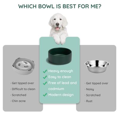 Show full view: SpunkyJunky Modern Cute Ceramic Weighted Dog Bowl, 1 count, Green, 3.6 cup slide 6 of 8