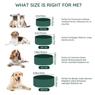 Show full view: SpunkyJunky Modern Cute Ceramic Weighted Dog Bowl, 1 count, Green, 3.6 cup slide 4 of 8