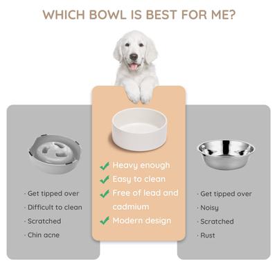 Show full view: SpunkyJunky Modern Cute Ceramic Weighted Dog Bowl, 1 count, White, 5.2 cup slide 6 of 8
