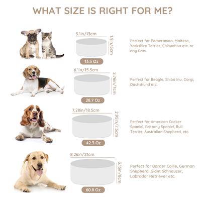 Show full view: SpunkyJunky Modern Cute Ceramic Weighted Dog Bowl, 1 count, White, 5.2 cup slide 4 of 8