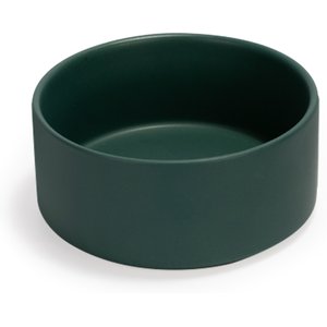 SpunkyJunky Modern Cute Ceramic Weighted Dog Bowl, 1 count, Green, 3.6 cup