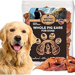 Brutus & Barnaby Thick Cut Whole Pig Ear Natural Dog Chew Treats, 10 count