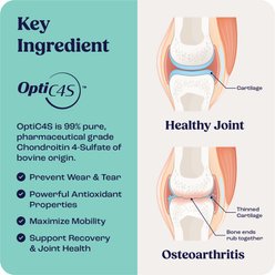 Summit Animal Health Liquid Joint & Mobility Supplement for Small Dogs, 0.27-fl oz slide 2 of 7